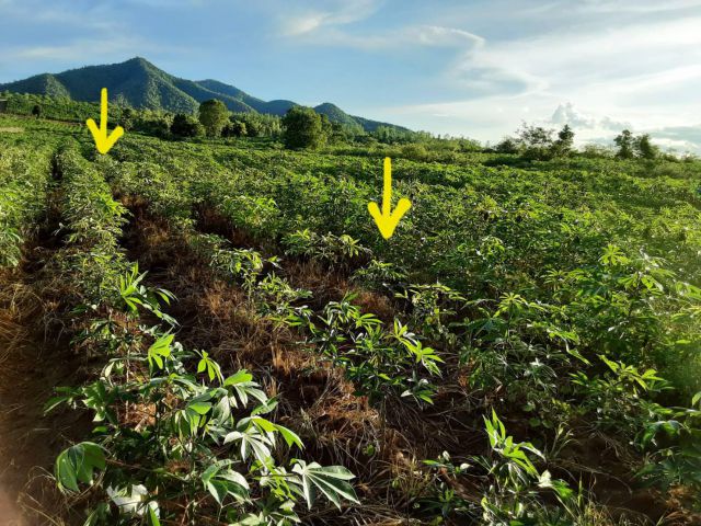 ขายที่ดิน 80-0-0 THB10,000,000 ต.แก่งเสี้ยน, อ.เมือง, จ.กาญจนบุรี