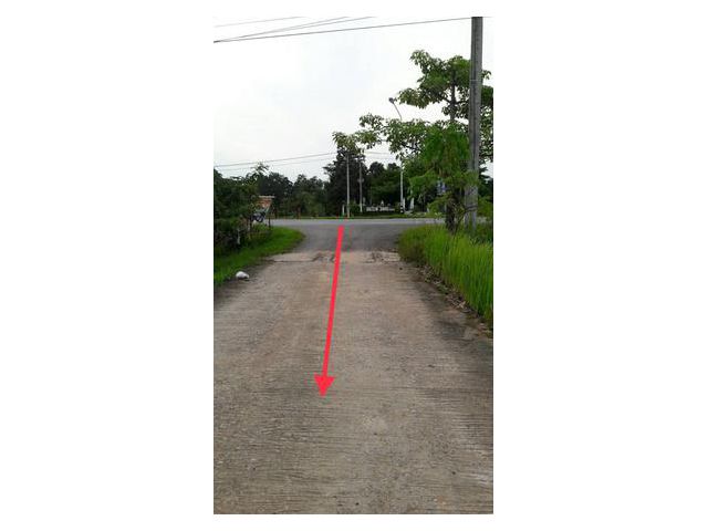 ที่ดินเปล่า 6-3-83 ไร่  โพนทอง  เมือง จ.ชัยภูมิ