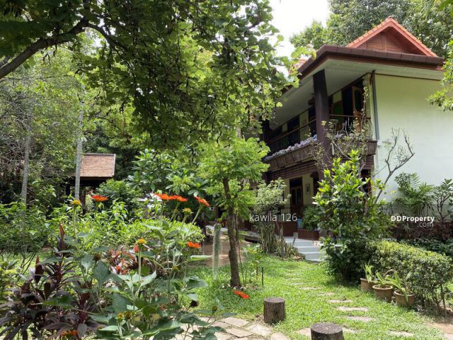 Rent Villa Boutique stlye big garden for rent Chiang Mai short-long term