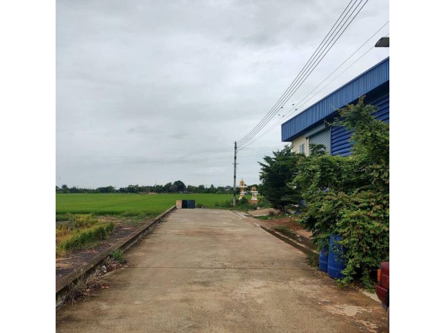 #ขายโกดังอำเภอลาดหลุมแก้ว ปทุมธานี ที่ดิน 200 กว่าตารางวา  :ตำบลระแหง อำเภอลาดหลุมแก้ว