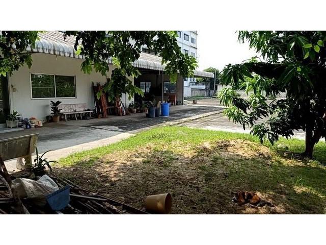 PO160 ขายที่ดิน หมู่บ้านธนัชชา ถนนกรุงเทพ