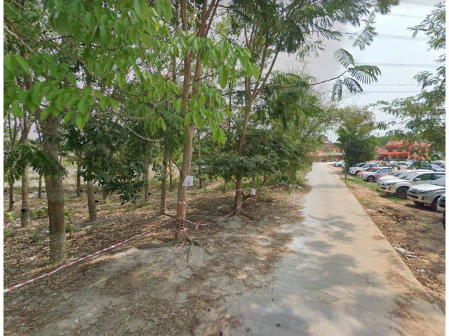 ขายที่ดินมาบข่าติดถนนคอนกรีต 2 ไร่ ใกล้ถนนเส้น 4040 - 200 เมตร อ.นิคมพัฒนา จ.ระยอง