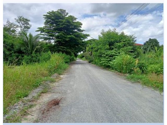 ขายที่ดิน 228 วา ถ.ศาลายา- บางภาษี คลองโยง นครปฐม ใกล้ ม.มหิดล เหมาะเป็นบ้าน โกดัง ออฟฟิซ