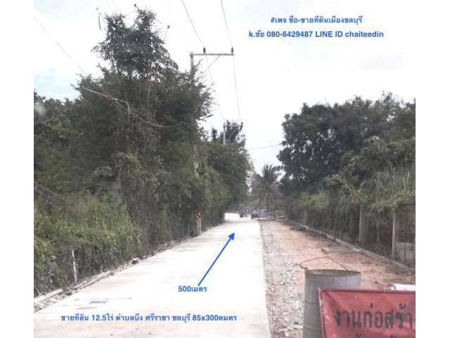 ##ขายที่ดินผังเมือง EEC เนื้อที่ 12.5ไร่ ติดถนน 85เมตร ลึก 300เมตร ตำบลบึง ศรีราชา ##