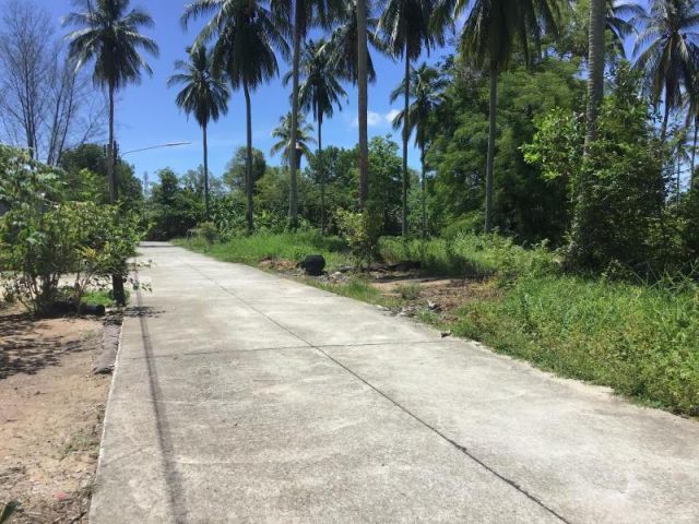 ขายที่ดิน 500เมตร ถึงชายหาด