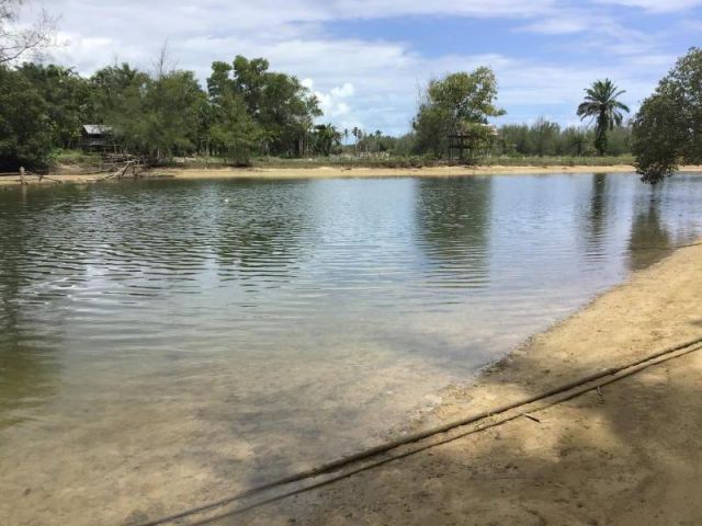 ขายที่ดิน 3 ไร่ ใกล้ชายหาด