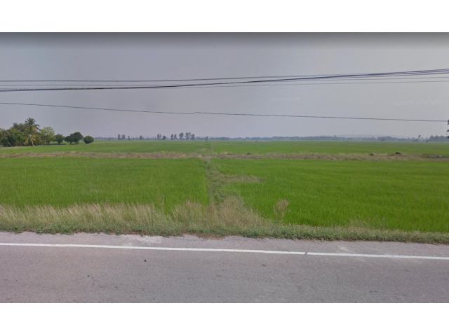 ขายที่ดิน 24 ไร่ 60 ตรว. ติดถนนลาดยาง