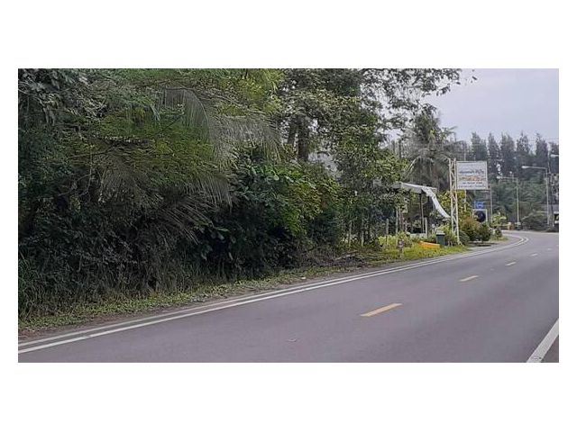 ขายที่ดินติดทะเลหาดบ่อเมา  อ.ปะทิว ชุมพร