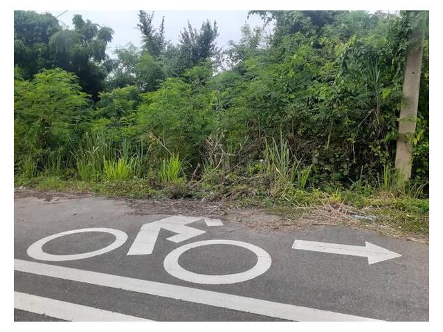 ขายที่ดินเปล่าติดถนน อำเภอปะทิว ชุมพร