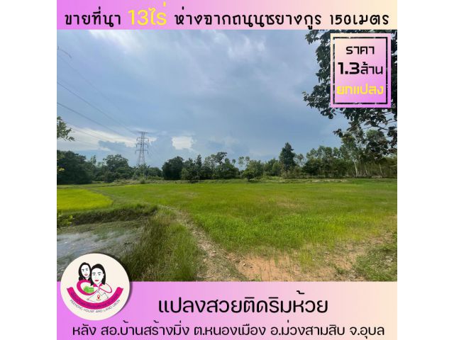 ขายที่นาติดริมห้วย เนื้อที่ 13ไร่ อ.ม่วงสามสิบ