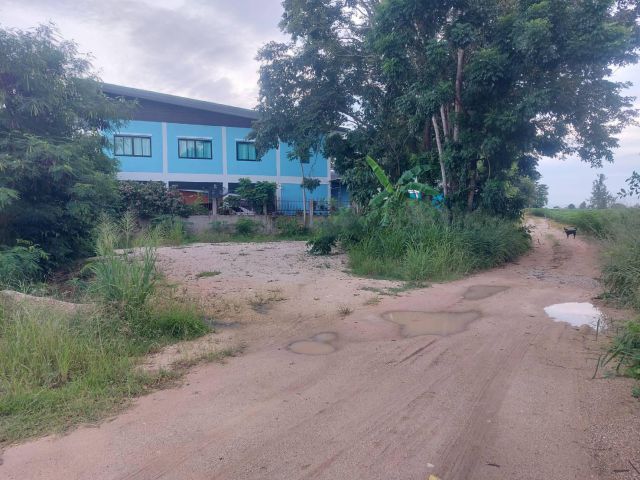 ที่ดิน 88 ตรว.ตะเคียนเตี้ย มาบหว้าซอย 5