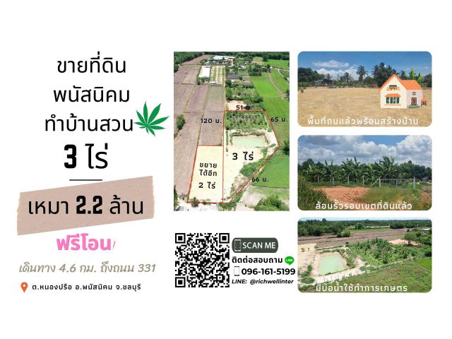 ขายที่ดินพร้อมสวนผลไม้กล้วยและมะพร้าวรวม 3 ไร่ ถมแล้ว ใกล้ถนนเส้น 331 - 3.5 กม. ยกแปลง 2.2 ล้านเท่านั้น จ.ชลบุรี