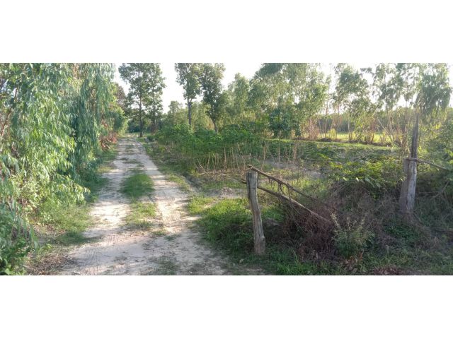 ขายที่ดิน 15-0-34 THB2,100,000 นาม่วง, ประจักษ์ศิลปาคม, อุดรธานี