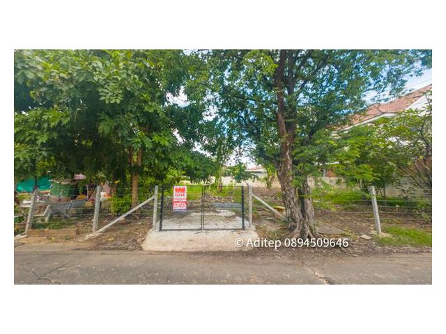 ขายที่ดิน  ม.ภัทรนิเวศน์อุทยานทอง   นนทบุรี