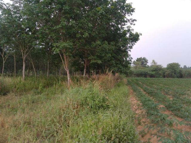 ขายที่ดิน 7-0-32 THB2,700,000 นิคมสงเคราะห์, เมือง, อุดรธานี