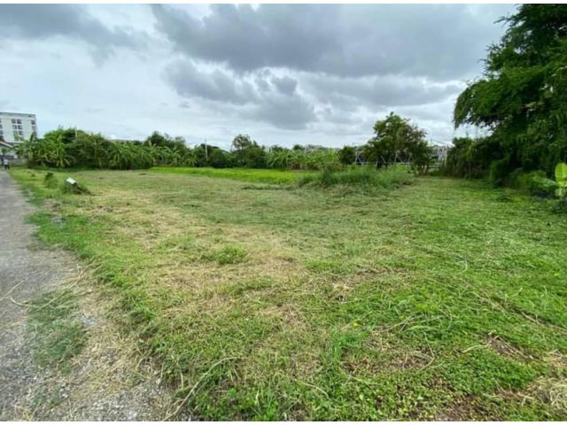ขายที่ดินพัฒนาการ 69 Phatthanakan Land for sale แปลงมุม 200ตร.ว ขายถูก ตร.ว/34,000 จากถ.ใหญ่ 900ม. อยู่พัฒนาการตัดใหม่ อ
