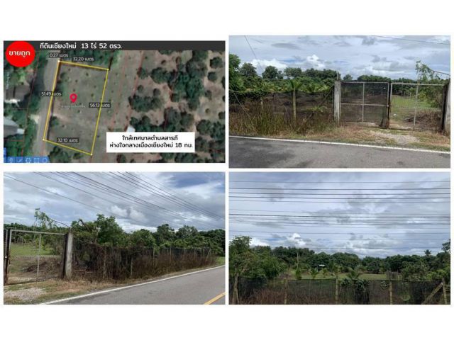 ราคาถูก ที่ดินเชียงใหม่ อ.สารภี โฉนดที่ดิน เนื้อที่ 13-0-52 ไร่ หน้ากว้างติดถนนสาธารณะ