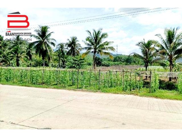 ที่ดินเปล่า หน้าวัดเขาถ้ำสหกรณ์นิคม อำเภอทองผาภูมิ เนื้อที่ 4-3-46 ไร่ ถนนทางหลวงหมายเลข 3049 จ.กาญจนบุรี