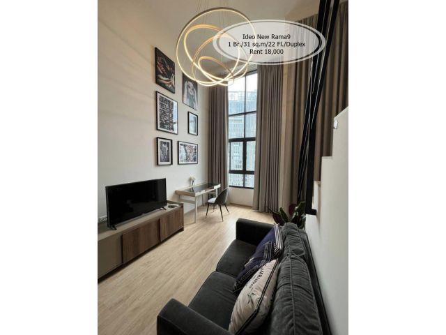 เช่า- Ideo New Rama9/1 นอน Duplex / 31 ตร.ม. /ชั้น 22 ใกล้ MRT หัวหมาก เช่า 18,000