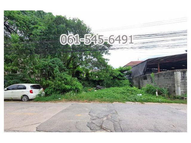 ขายที่ดิน 100 ตรว. ซอย ลาดพร้าว 101 แยก 48 สวย ทำเลดี สุดคุ้มค่า