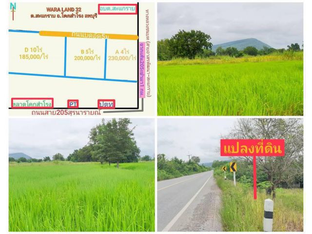 WARA LAND 32 ต.สะแกราบ อ.โคกสำโรง ลพบุรี ที่สวย ทำเลดีติดถนนดำ