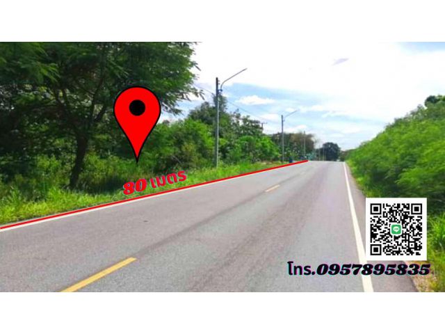 ขายที่ดินระยอง นิคมพัฒนา 24ไร่ ใกล้นิคมฯ WHA Rayong 36 ติดถนนซอย 8