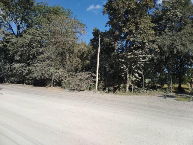 ขายที่ดิน 56-0-03 THB22,400,000 ด่านช้าง นากลาง หนองบัวลำภู