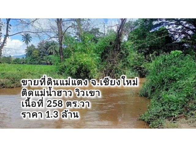 ขายที่ดินแม่แตง ติดแม่น้ำฮาว เนื้อที่ 258 ตารางวา ต.สบเปิง อ.แม่แตง จ.เชียงใหม่
