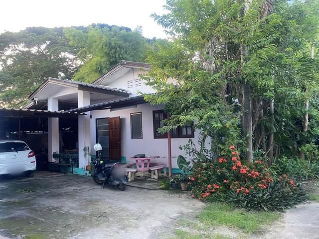 S00764 ขายบ้านพร้อมที่ดิน ใกล้ตลาดสดป่าข่อย