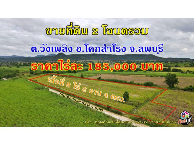 #ขายที่ดิน(2 โฉนด)รวม 8ไร่2งาน4ตรว อ.โคกสำโรง จ.ลพบุรี