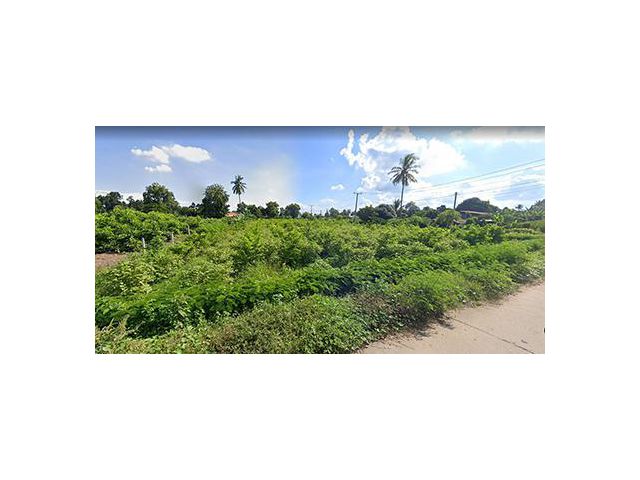 ขายที่ดินติดถนน 3 ด้าน ทำเลดี เดินทางสะดวก หรือใช้เป็นสถานที่พักผ่อน บรรพตพิสัย นครสวรรค์ สนใจโทร 098 897 9973