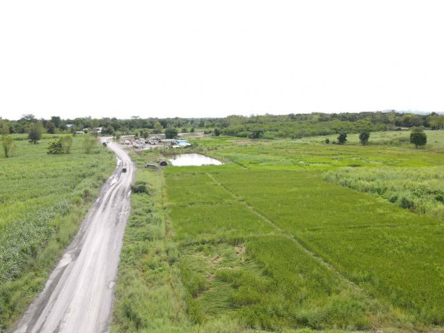 ขายที่ดิน 42-0-91 THB10,556,875 ด่านช้าง นากลาง หนองบัวลำภู