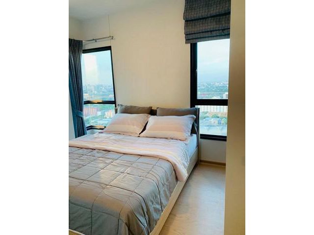 CRB605 เช่า หรือ ขาย  The Tree Sukhumvit 71