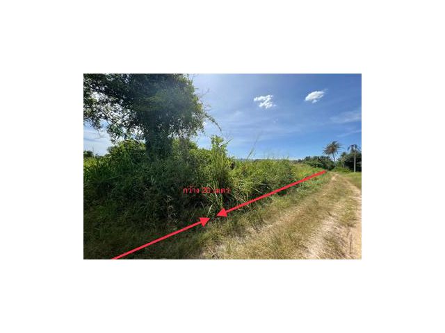 ที่ดินเปล่า 146 ตารางวา อำเภอบ้านบึง จ.ชลบุรี