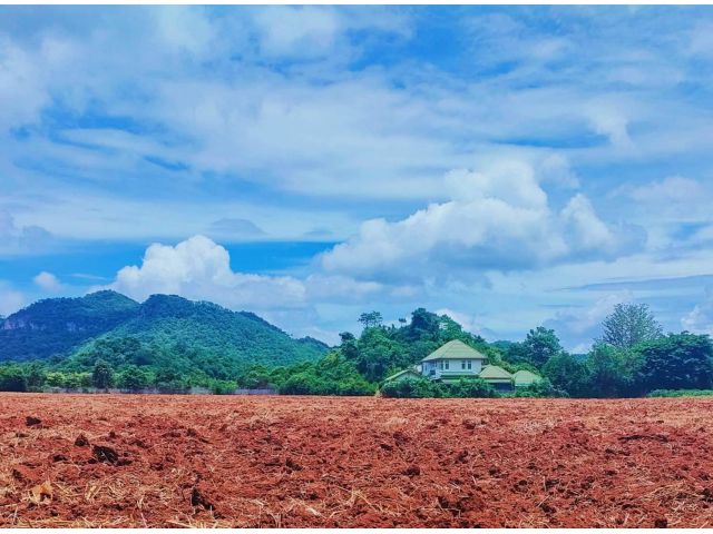 ขายที่เขาใหญ่ หมูสี 27 ไร่ ที่สวย วิวเขา360องศา อากาศดีมาก อยู่เส้นบ้านไร่-ท่าช้าง ใกล้ธนะรัชต์ ใกล้ที่ท่องเที่ยวน้ำผุด