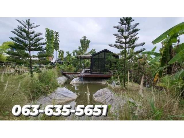 ขายบ้านพร้อมพื้นที่ อยู่เขตเทศบาลพิกุลออก