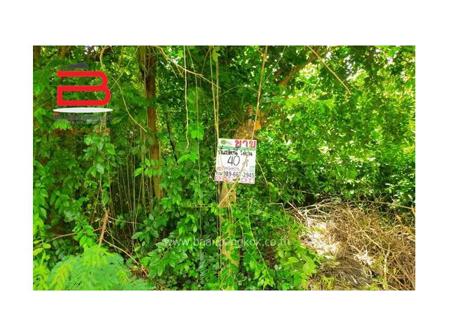 ที่ดินเปล่า หมู่บ้าน มิตรประชา เนื้อที่ 40 ตรว. ถนนติวานนท์ อ.ปาดเกร็ด จ.นนทบุรี