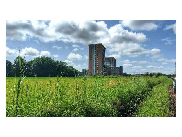 ขายที่ดิน ใกล้ศูนย์การแพทย์ ม. แม่ฟ้าหลวง