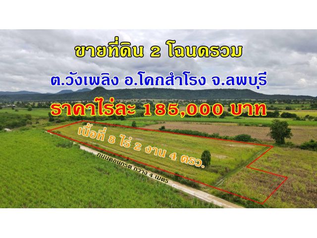 ขายที่ดิน 2โฉนดรวม8-2-4ไร่ ต.วังเพลิง อ.โคกสำโรง จ.ลพบุรี