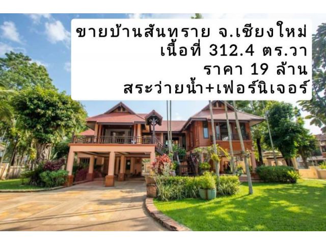 ขายบ้านสันทราย บ้านหรูพลูวิลล่า+สระว่ายน้ำ เนื้อที่ 312.4 ตร.วา พร้อมเฟอร์นิเจอร์