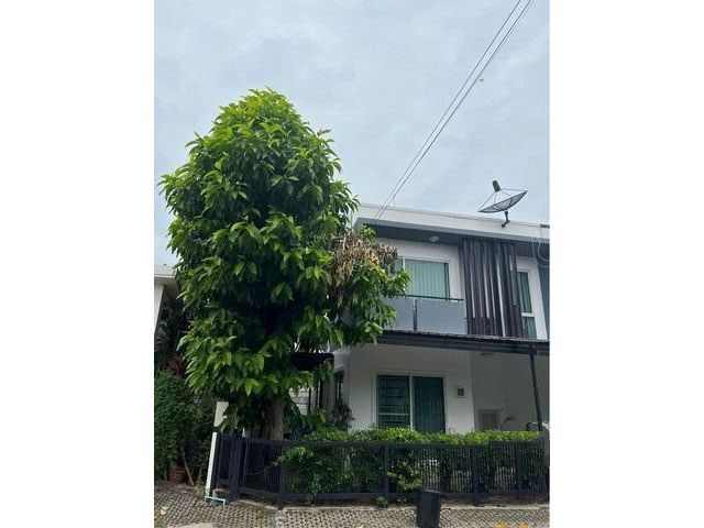 BH1795 ให้เช่าทาวน์โฮม  หมู่บ้านพฤกษาทาวน์ พรีเว่