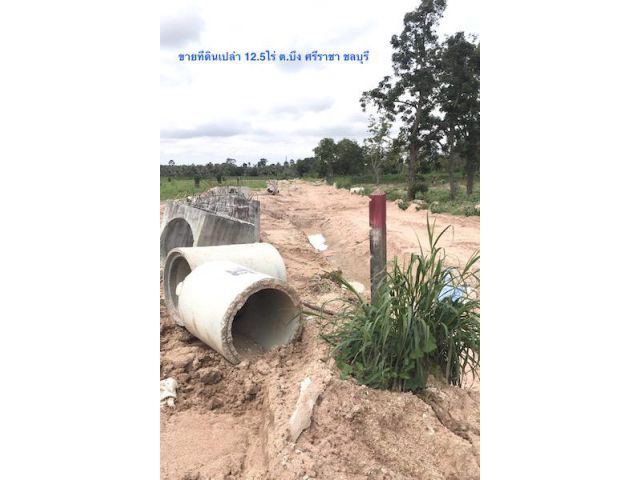 ###ขายที่ดินผังเมือง EEC เนื้อที่ 12.5ไร่ ติดถนน 85เมตร ลึก 300เมตร ตำบลบึง ศรีราชา ชลบุรี ใกล้นิคมปิ่นทอง ใกล้ตลาดบึงวรกิจ ใกล้ ทล.3009 ##