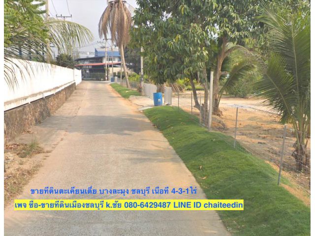@@ขายที่ดิน 4ไร่ 3งาน โซนนาวัง,ตะเคียนเตี้ย ใกล้ถนนคู่ขนานมอเตอร์เวย์ (7) ห่าง 500เมตร ผังเมือง EEC สีเหลืองอ่อน ##