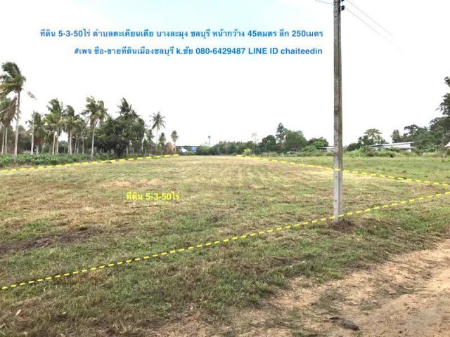 ##ขายที่ดิน 5-3-50ไร่ตะเคียนเตี้ย ใกล้ถนนคู่ขนานมอเตอร์เวย์ (7) ห่าง 1.2กม.ผังเมือง EEC สีเหลืองอ่อน ตำบลตะเคียนเตี้ย ##