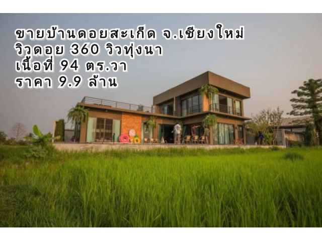 ขายบ้านดอยสะเก็ด จ.เชียงใหม่ สไตล์พูลวิลล่า วิวดอย 360 องศา พร้อมเฟอร์นิเจอร์ครบพร้อมอยู่