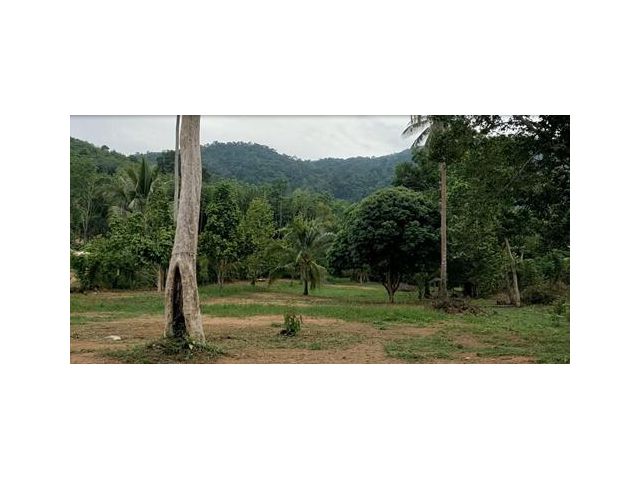 ขายที่ดินบนเกาะช้าง จังหวัดตราด