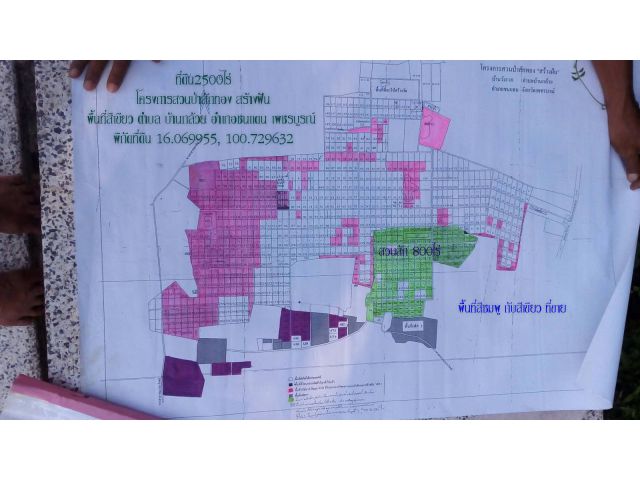 ขายที่ดิน2500ไร่ อยู่ในโครงการสวนป่าสักทอง สร้างฝัน ต.บ้านกล้วย อ.ชนแดน จ.เพชรบูรณ์