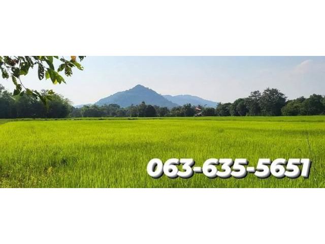 ขายที่ดินสาริกาวิวเขาอลัง ต.สาริกา อ.เมืองนครนายก