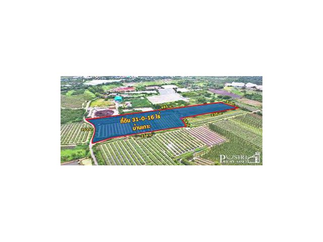 ขายที่ 31 ไร่ หน้ากว้างมาก 133 เมตร ราคาคุ้มสุด ในตลาดเชื่อมต่อหลายเส้นทาง ถนนสวนส้ม บางปลา พระราม 2