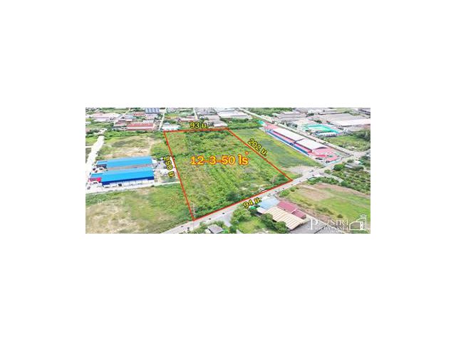 สร้างโรงงานได้ 13,000 ตารางเมตร กับที่สีม่วงเกือบ 13 ไร่ ฮวงจุ้ยดีหน้ากว้าง 94ม. หันทิศใต้ รถเทรลเลอร์เข้า